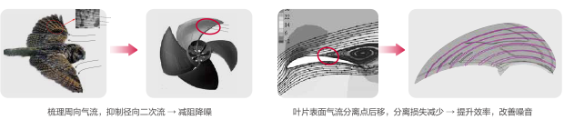 DƬ9.png