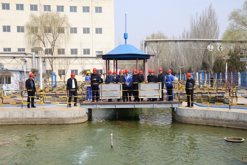 1774841827113467.jpg 1774841827113467.jpg