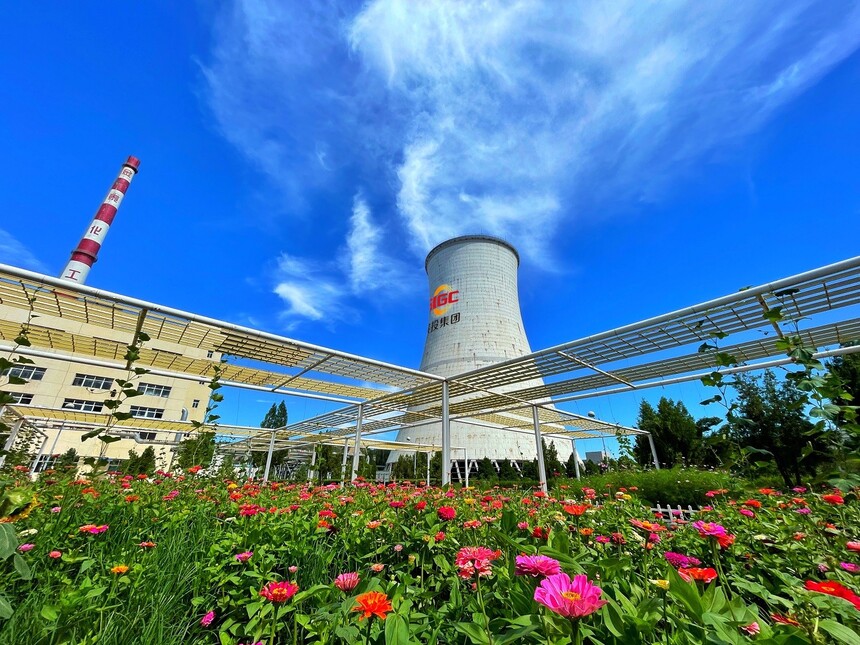 1774842381912000.jpg 1774842381912000.jpg