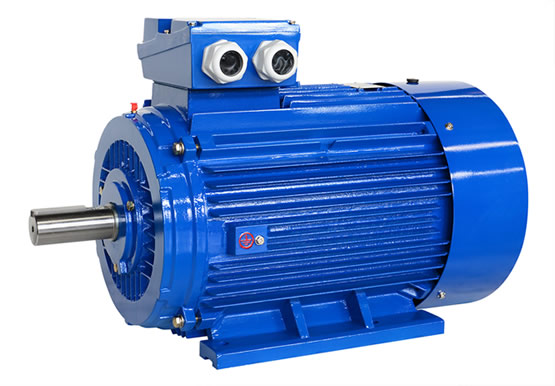 ye4555-386.jpg