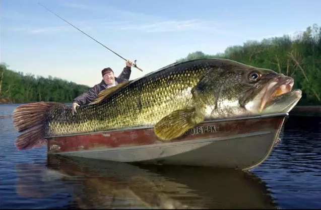 【豪臣·销售】销售没有任何诀窍,只有这三个字!