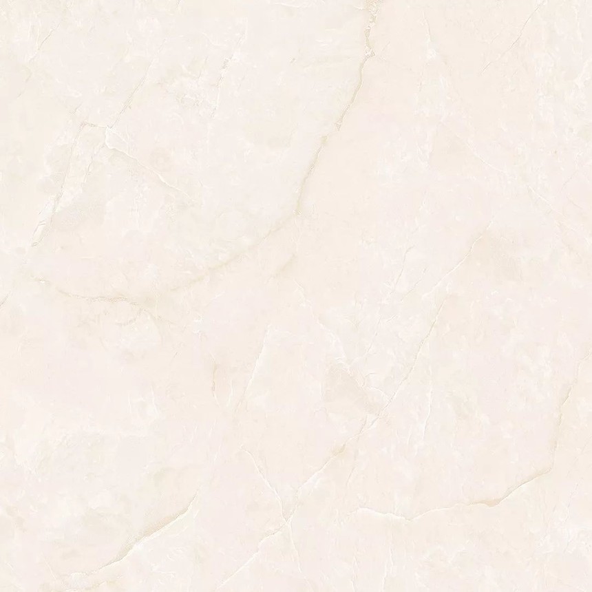 1565852666250893.jpg image008.jpg
