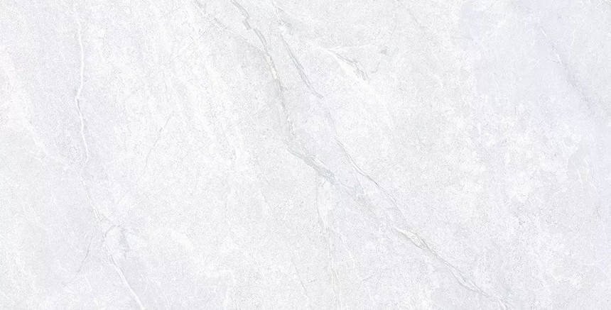 1565852736964464.jpg image017.jpg