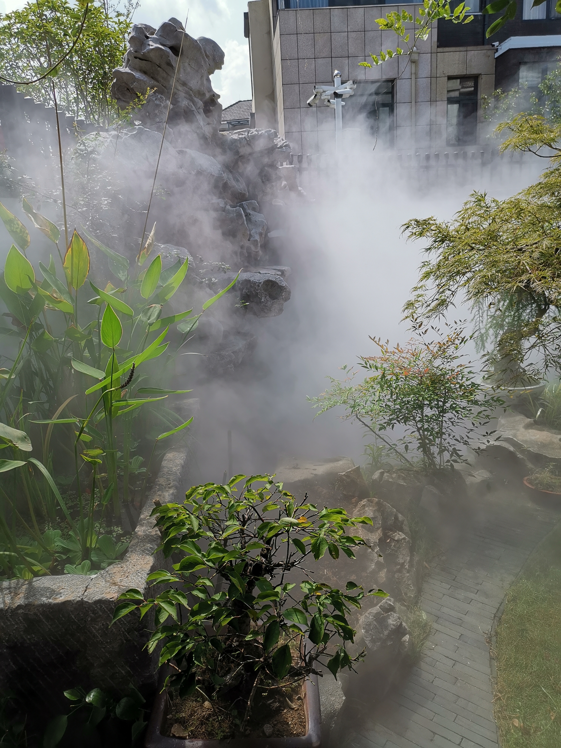 南京别墅庭院造雾景观