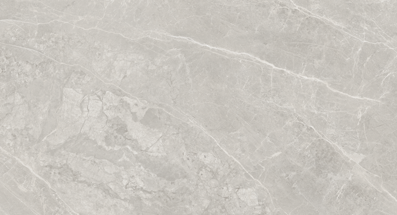 ңǳT09G198565 (1800x900) (4).png