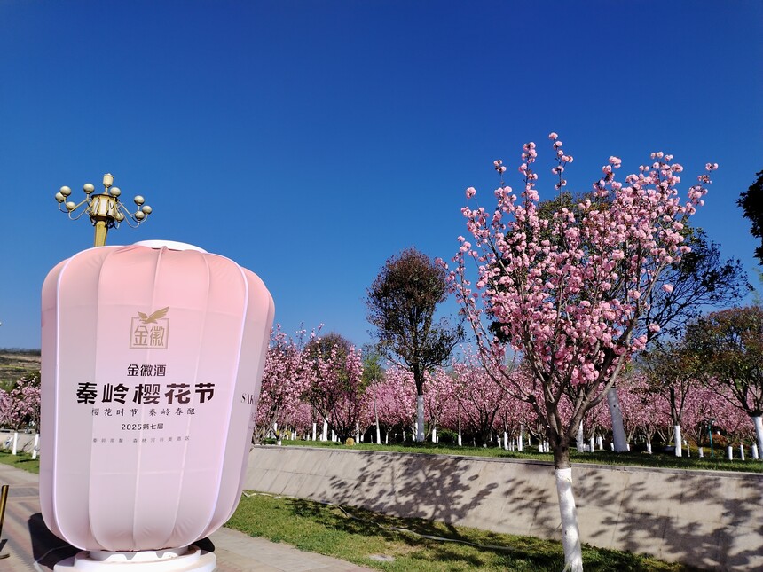 1744703228396980.jpg 微信图片_20250415104334.jpg