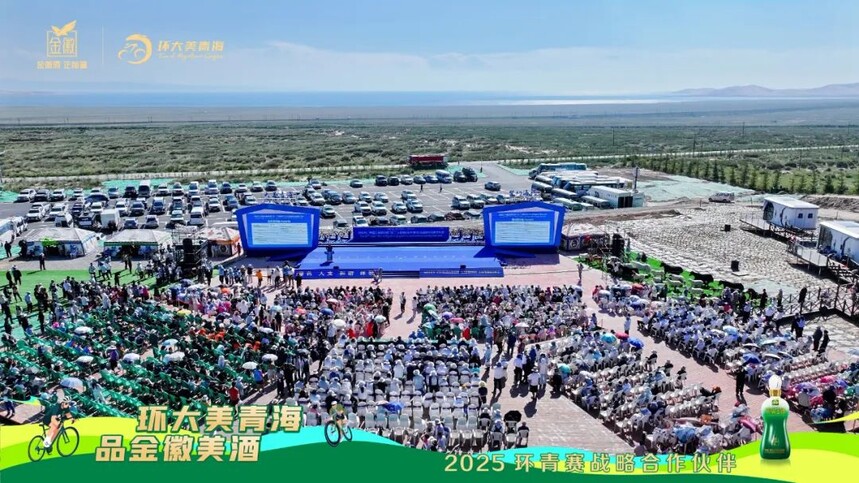 640 (10).jpg