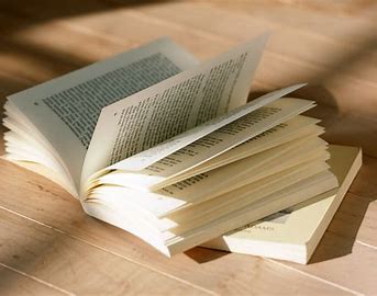 1718424849996456.jpg download.jpg