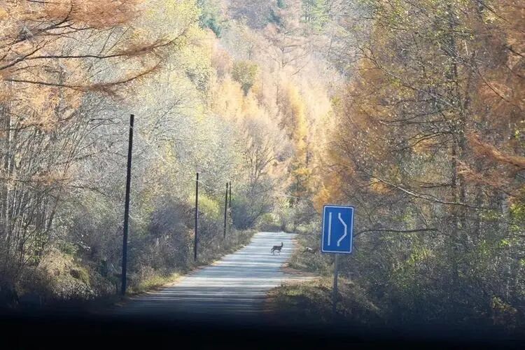 1718430489405838.jpg 0134586406308c5ca758ce574bb6dcf7.jpg