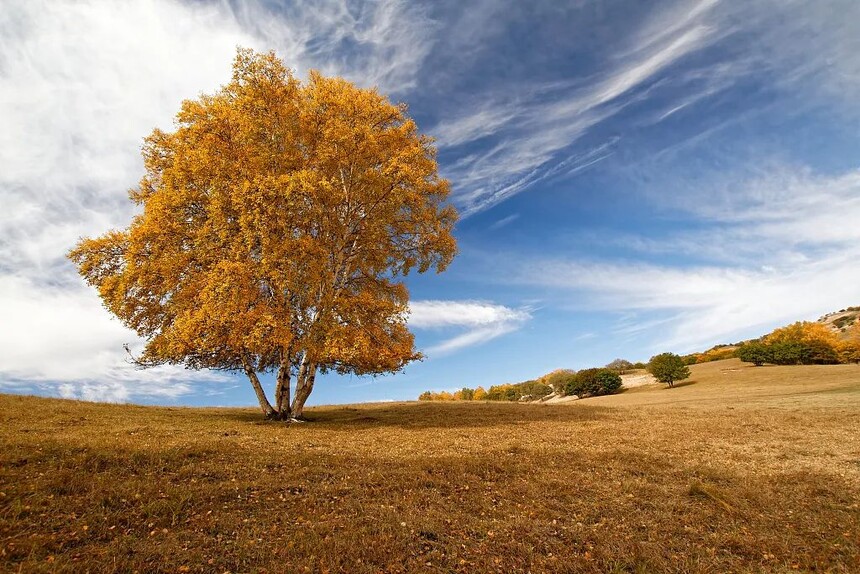 1718430567202148.jpg 048403518ba25191ed081edd261463f6.jpg