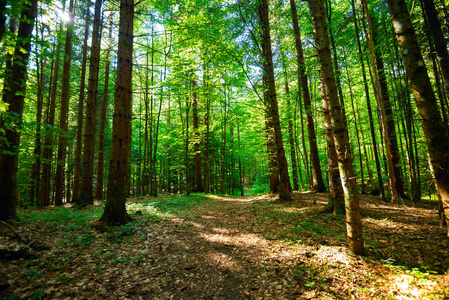 1718430911976659.jpg bd6f9061a959cb29daa9a2a31ddbd7a9.jpg