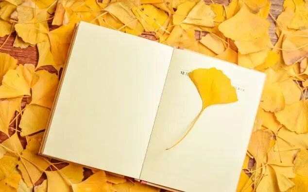 1718433806635075.jpg 1ed909e7758531c9136f9bdb76139419.jpg