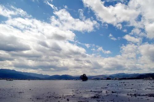 1718604485675848.jpg 3b7541524e7df0f85a09545e84268ea6.jpg