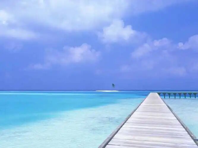 1718720516166614.jpg ca980035fbb7ea70b8df3f85a770ead8.jpg