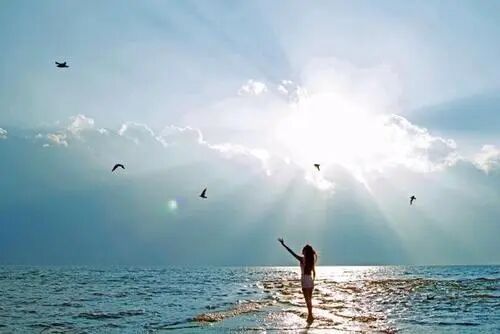 1718720844765615.jpg 87e7c3d1b96766b7382fd359f3106195.jpg