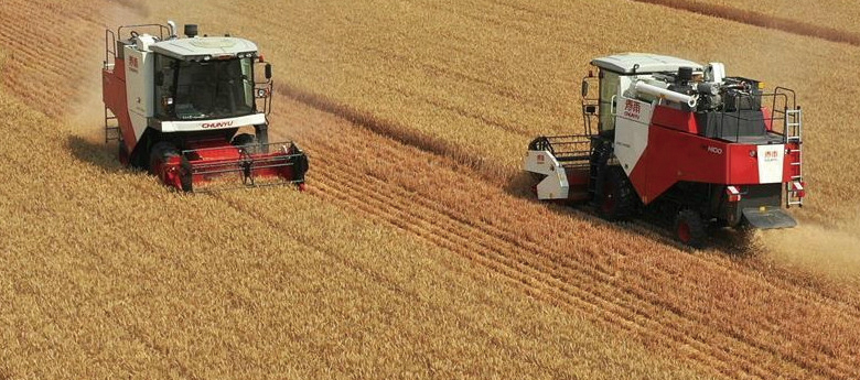 河南：小麥陸續開鐮收獲