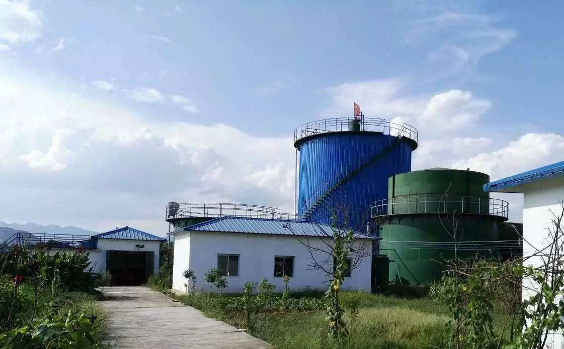 վũ