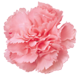 ΢ͼƬ_20200526154107.png