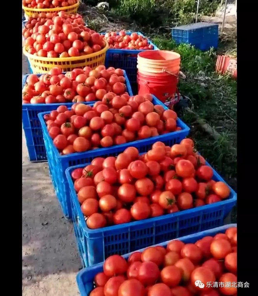 1590479999460642.jpg