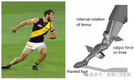640 (1).png