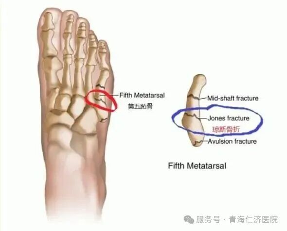 640 (14).jpg