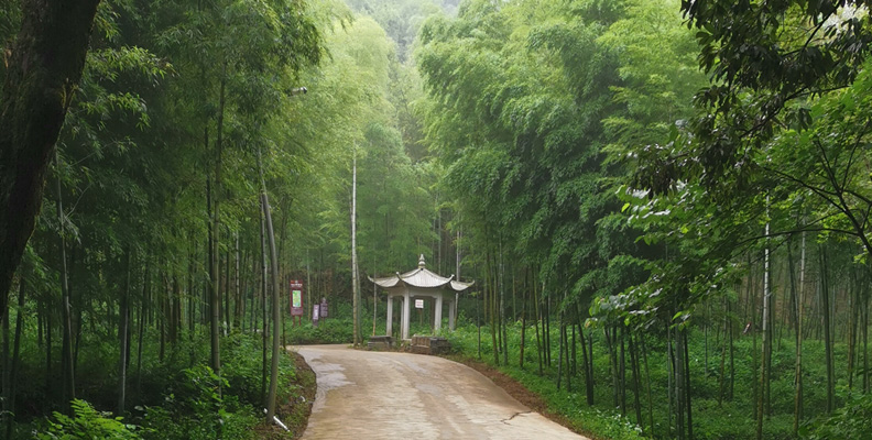 �㽭�����h���������B(t��i)�YԴ��(y��u)��(sh��)�������l(f��)չ�l(xi��ng)������