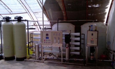 201174173649138.jpg