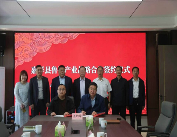 深化非遗鲁锦产业合作，共探数字营销新路径