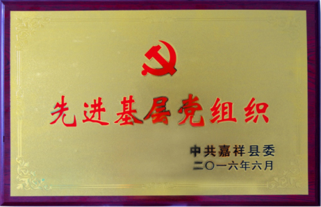 6  县级先进基层党组织荣誉称号.jpg