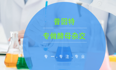 ���϶����ƹ�