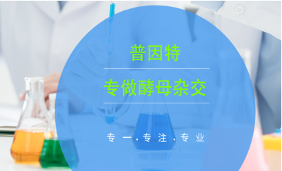 ���϶����ƹ�