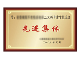 荣获“先进单位”的称号