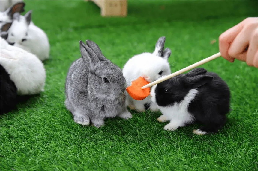 src=http___p9.itc.cn_images01_20201221_69ac7f63f5314dfba02a7fb9095522c2.png&refer=http___p9.itc_ͼ.web.jpg