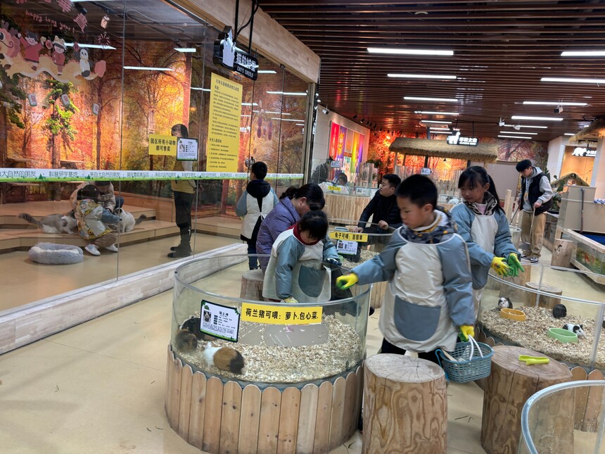 萌宠乐园规划设计.jpg 萌宠乐园规划设计.jpg