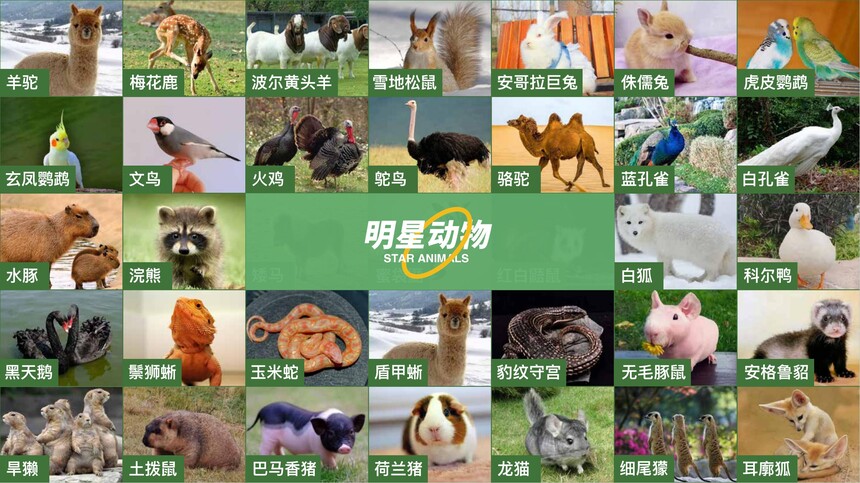 http://www.qdjzjg.cn/jzjgcwly/products/20547796_0_0_1.html#1 http://www.qdjzjg.cn/jzjgcwly/products/20547796_0_0_1.html#1