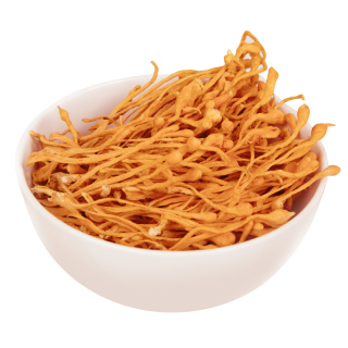 蟲(chóng)草葛根茶OEM貼牌代加工袋泡茶代加工生產(chǎn)廠(chǎng)家按需定制