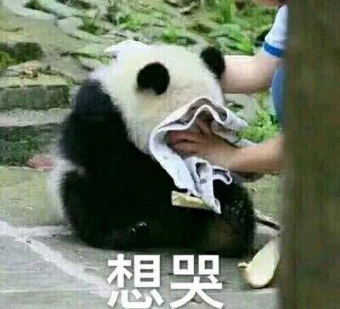 1571392730326365.jpg 2019.10.18 配图2.jpg