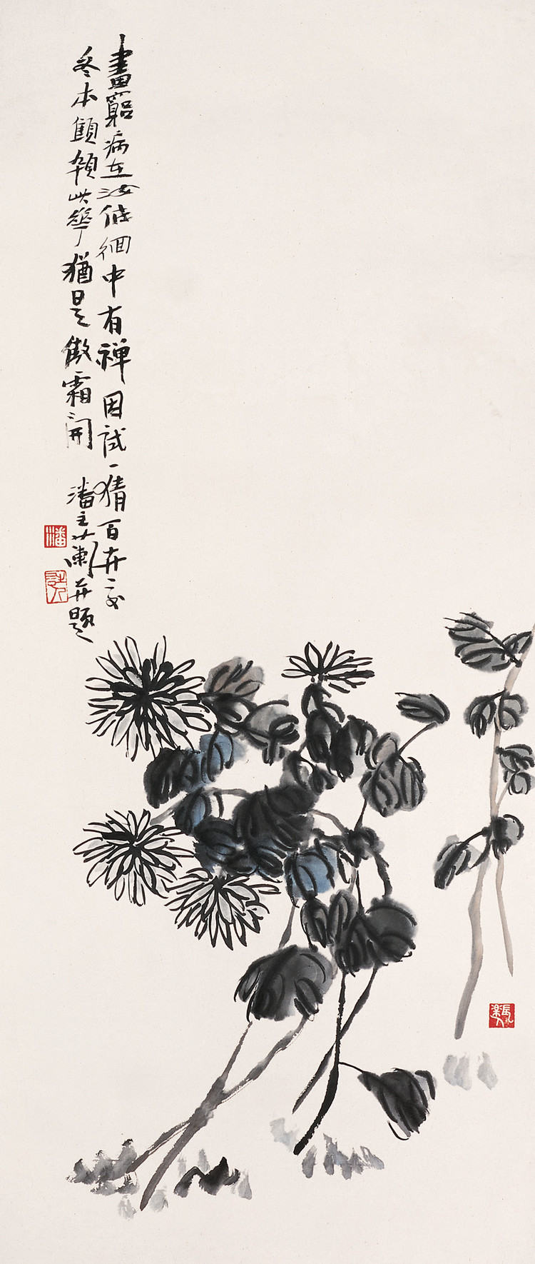 1573364081334200.jpg 菊花.jpg