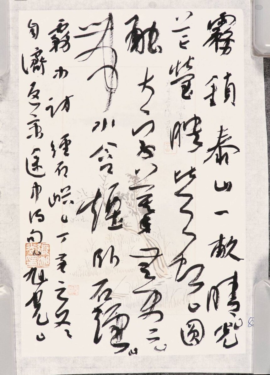 1730214230571493.jpg 23.jpg