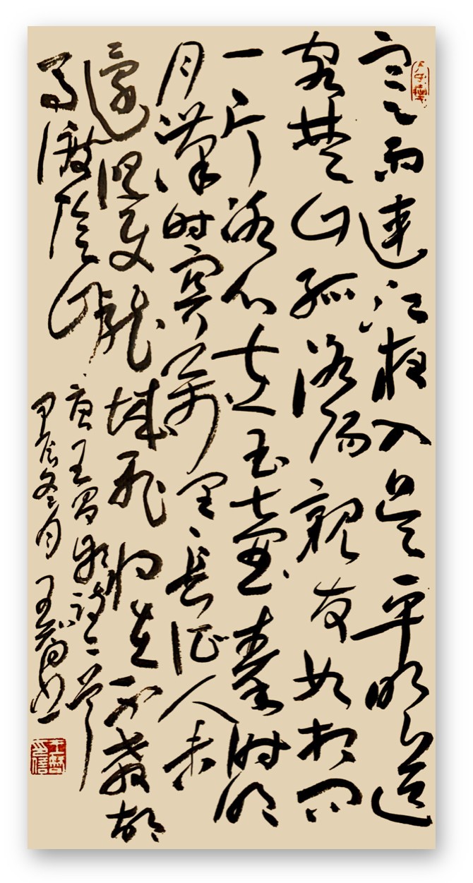 1735718517354090.jpg