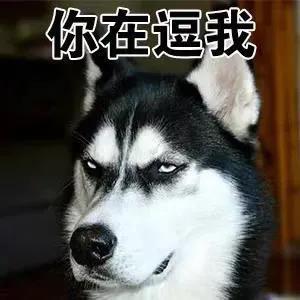 "(内心os:我的本职工作是逗人开心?