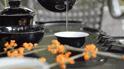 timg (9).gif