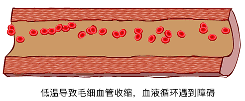 timg1.gif