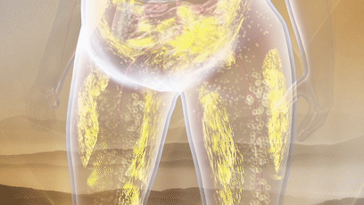 2e544d63f9284baa916eced818a002d2.gif