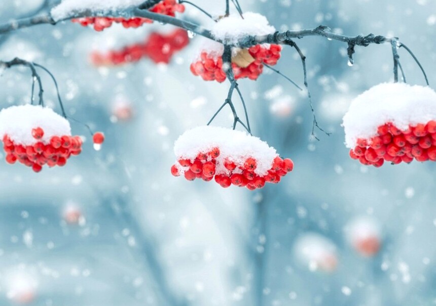 1703153255444288.jpg 01.jpg