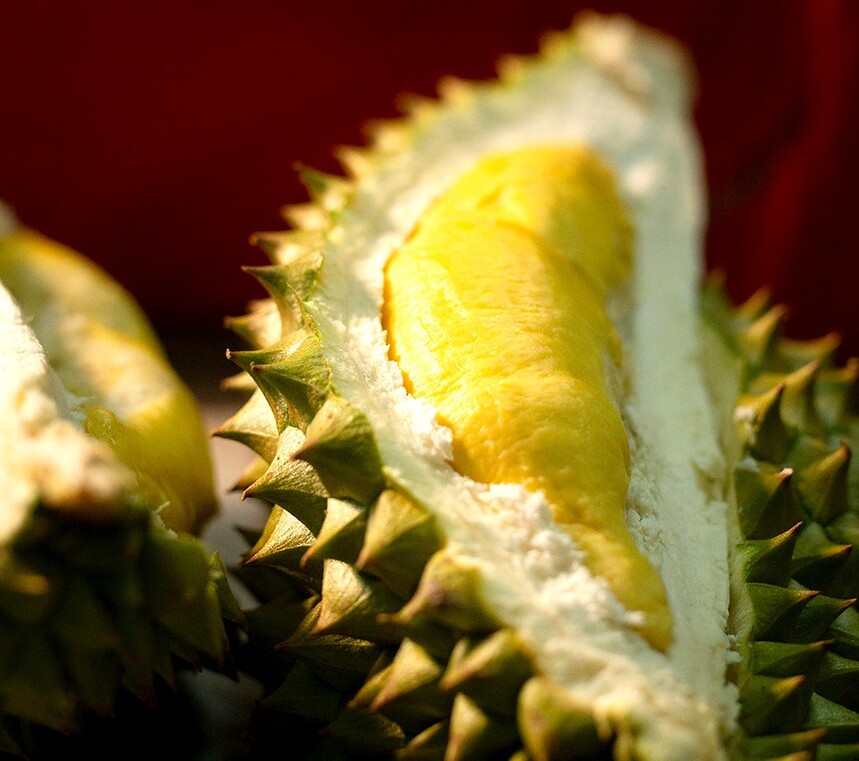 1714361184824553.jpg 02.jpg