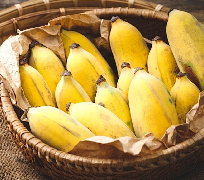 1714361251326449.jpg 05.jpg