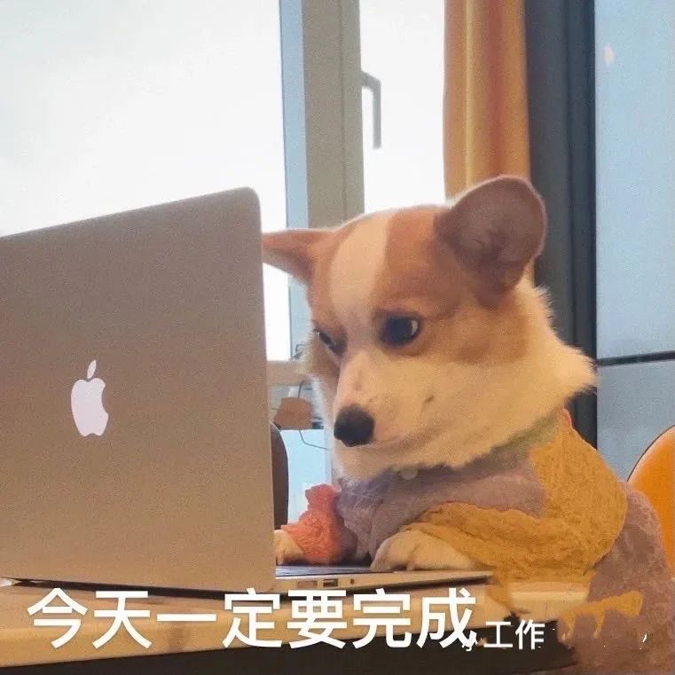 软件测试 软件测试
