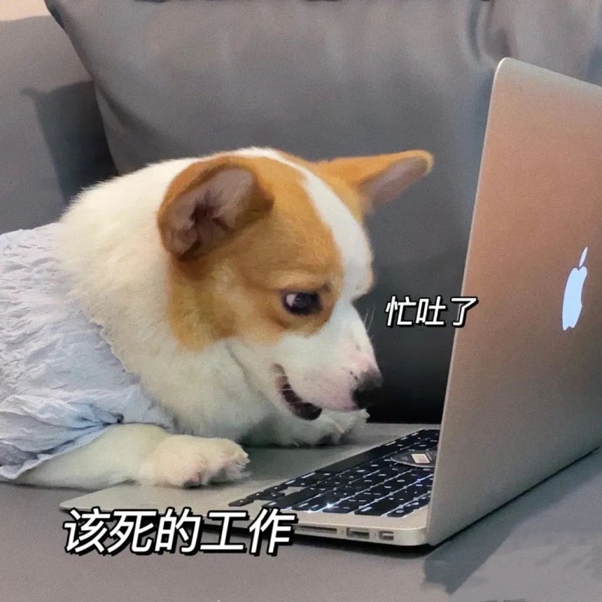软件测试 软件测试