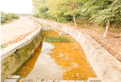 銅山源水庫(kù)生態(tài)治理(一期)